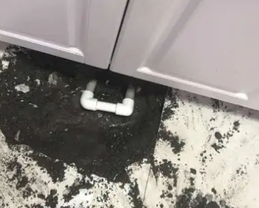 兰西查漏水哪家好